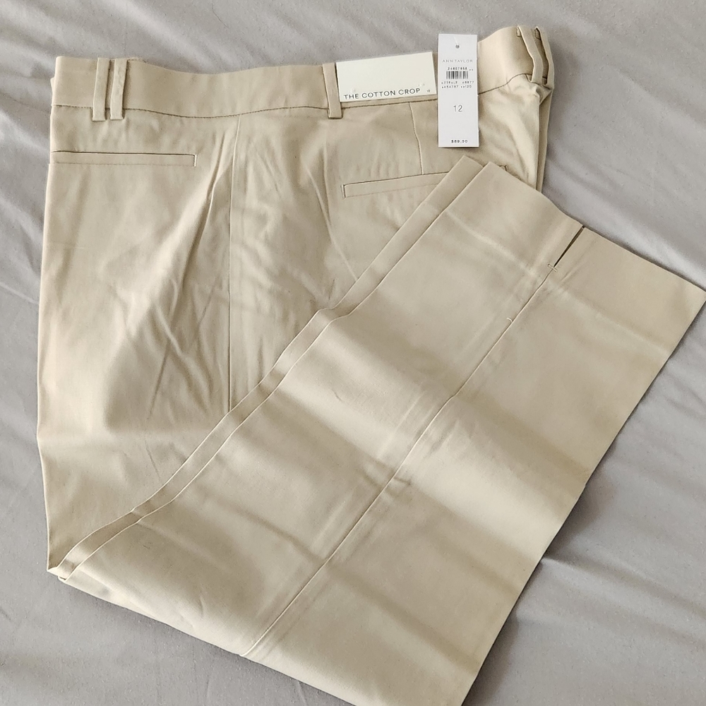 NWT ANN TAYLOR SIZE 12 "The Cotton Crop"